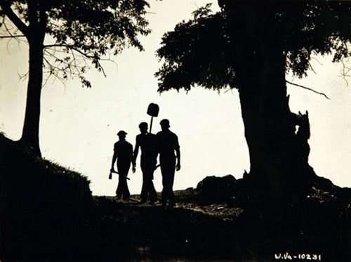 Men holding shovel in hand and walking behind the trees.