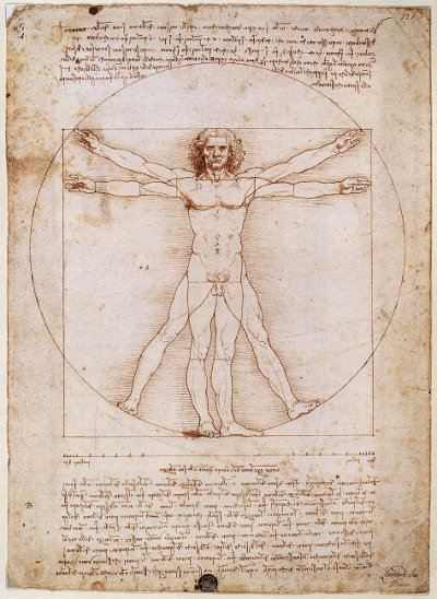 Pursuing Leonardo da Vinci's drawing of the human body.