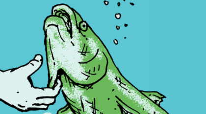 An illustration of a fish being caught by a hand.